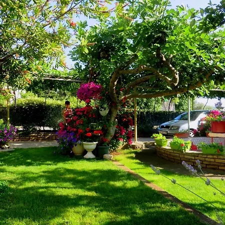 Apartamento Roza Biograd - Premium Location