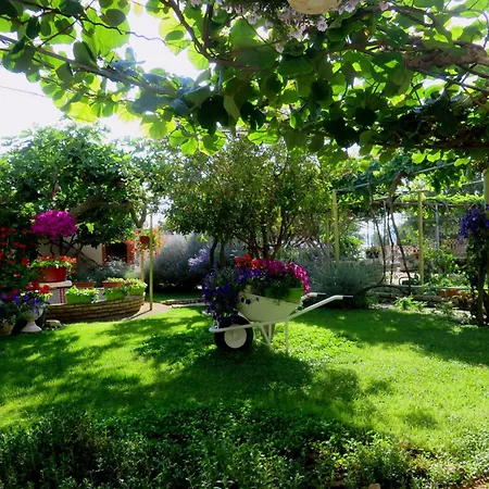 Beach Studio Roza Biograd - Premium Location Apartment *