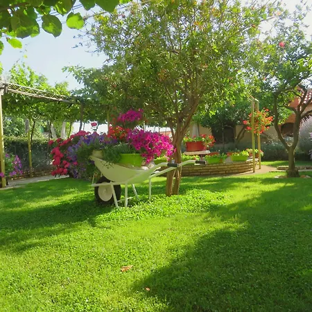 Beach Studio Roza Biograd - Premium Location Apartment Biograd Na Moru