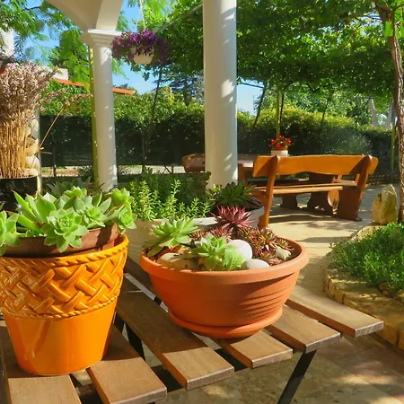 Apartment Beach Studio Roza Biograd - Premium Location *